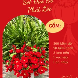 set diy hoa Đào Đỏ kẽm nhung
