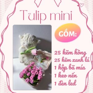 set diy hộp bento tulip mini kẽm nhung