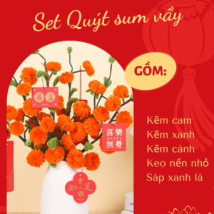 bộ cây quýt kẽm nhung diy handmade, bộ làm cây quýt trang trí tết, dễ làm
